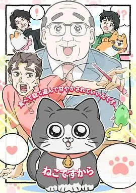 《转生成猫的大叔》：废柴大叔变喵星人，爆笑开启拯救世界之旅！