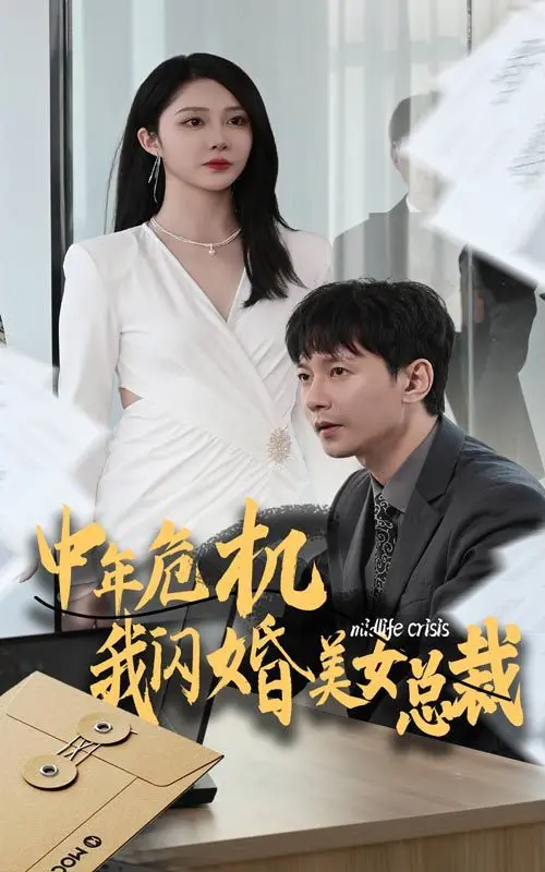 中年危机我闪婚美女总裁 海报